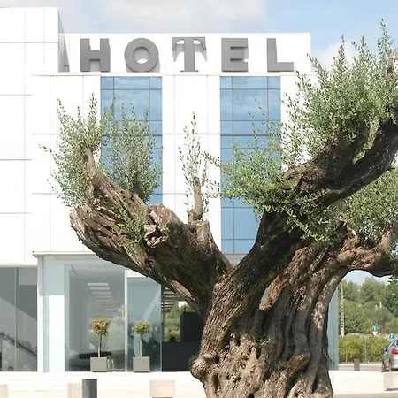 Duomo Hotel 3*